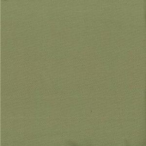 /common/images/fabrics/large/SAIGON!MINT.jpg