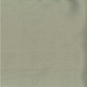 /common/images/fabrics/large/SAIGON!OYSTER.jpg