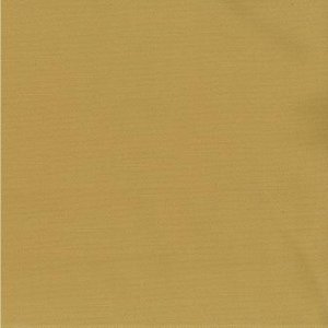/common/images/fabrics/large/SAIGON!PALE GOLD.jpg