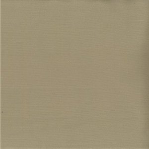 /common/images/fabrics/large/SAIGON!PUTTY.jpg