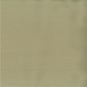 /common/images/fabrics/large/SAIGON!SAHARA.jpg