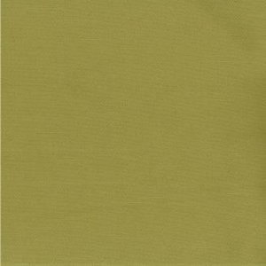 /common/images/fabrics/large/SAIGON!VERDE.jpg