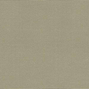 /common/images/fabrics/large/SHEIK!SEPIA 841.jpg