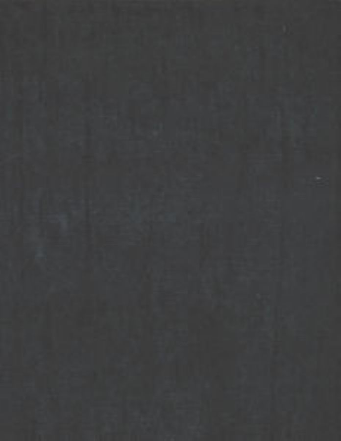 /common/images/fabrics/large/STELLA!CAVIAR 900.jpg