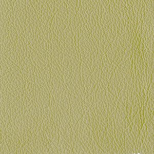 /common/images/fabrics/large/STRAUSS!ALOE 3305.jpg