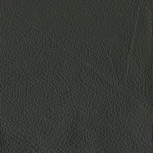 /common/images/fabrics/large/STRAUSS!SLATE 3495.jpg