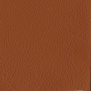 /common/images/fabrics/large/STRAUSS!SUNSET 3311.jpg