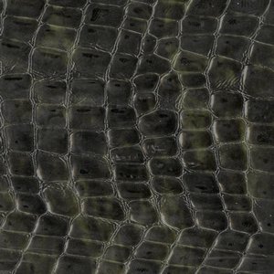 /common/images/fabrics/large/TARTARUGA!TIGRATA VERDE.jpg