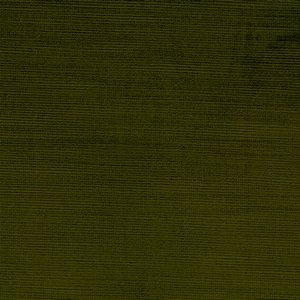 /common/images/fabrics/large/TIOGA!GRASS 321.jpg