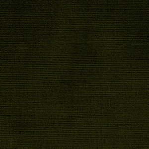 /common/images/fabrics/large/TIOGA!OLIVE 302.jpg