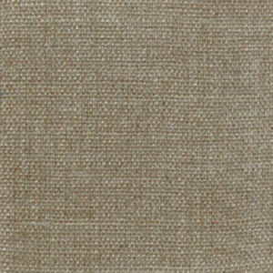 /common/images/fabrics/large/WONDER!FAWN.jpg